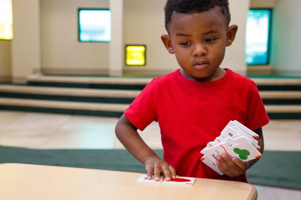 A preschool aged boy in a red shirt holding several Memory Shapes puzzle pieces in one hand and picking up another piece with his other hand.