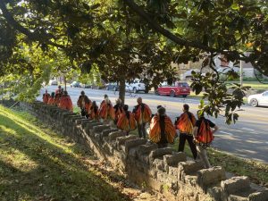 A group of APH staff walks along the street wearing bright orange monarch wings.